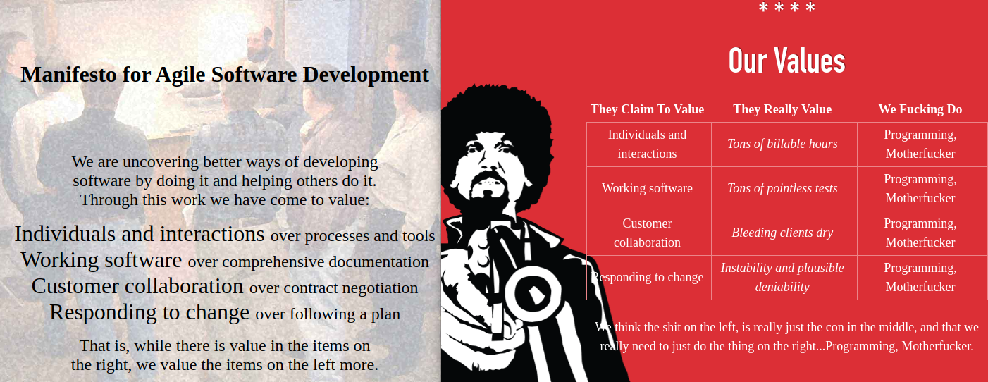 agile vs programming motherfucker